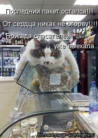 Последний пакет остался!!! Бригада спасателей уже выехала.... От сердца никак не оторву!!!!... Котоматрица: Последний пакет остался!!! Бригада спасателей уже выехала.... От сердца никак не оторву!!!!