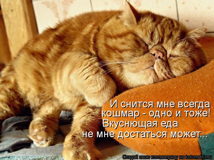 Котоматрица: И снится мне всегда кошмар - одно и тоже! Вкуснющая еда не мне достаться может...