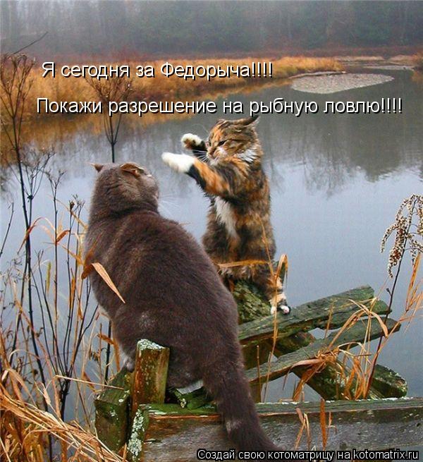Покажи разрешение на рыбную ловлю!!!! Я сегодня за Федорыча!!!!... Котоматрица: Покажи разрешение на рыбную ловлю!!!! Я сегодня за Федорыча!!!!
