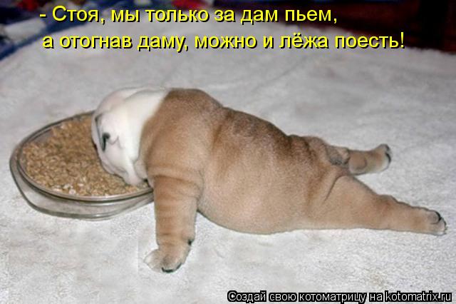 - Стоя, мы только за дам пьем, а отогнав даму, можно и лёжа поесть!... Котоматрица: - Стоя, мы только за дам пьем, а отогнав даму, можно и лёжа поесть!