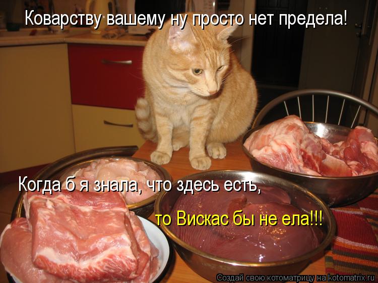 Котоматрица: Коварству вашему ну просто нет предела! Когда б я знала, что здесь есть,  то Вискас бы не ела!!!