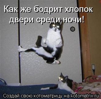 Как же бодрит хлопок двери среди ночи!... Котоматрица: Как же бодрит хлопок двери среди ночи!