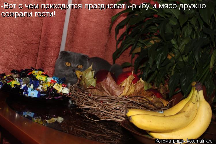 -Вот с чем приходится праздновать-рыбу и мясо дружно сожрали гости!... Котоматрица: -Вот с чем приходится праздновать-рыбу и мясо дружно сожрали гости!