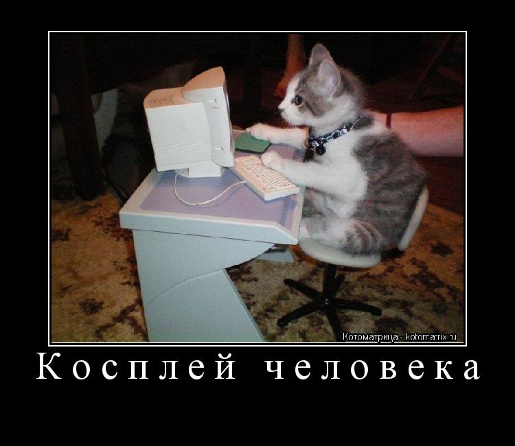 Косплей человека ... Котоматрица: Косплей человека