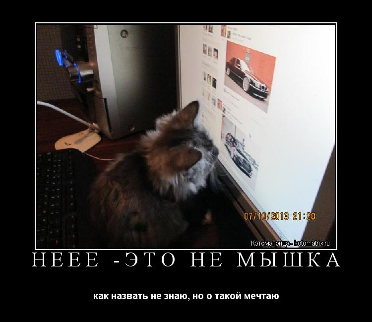 НЕЕЕ -ЭТО НЕ МЫШКА как назвать не знаю, но о такой мечтаю... Котоматрица: НЕЕЕ -ЭТО НЕ МЫШКА как назвать не знаю, но о такой мечтаю