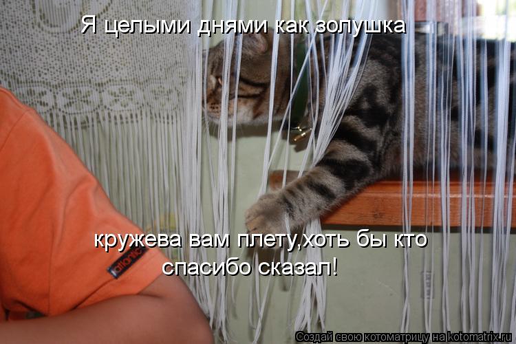 Я целыми днями как золушка кружева вам плету,хоть бы кто спасибо сказал!... Котоматрица: Я целыми днями как золушка кружева вам плету,хоть бы кто спасибо сказал!
