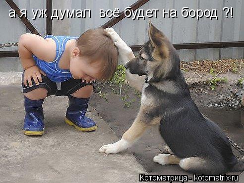 а я уж думал всё будет на бород ?!... Котоматрица: а я уж думал всё будет на бород ?!