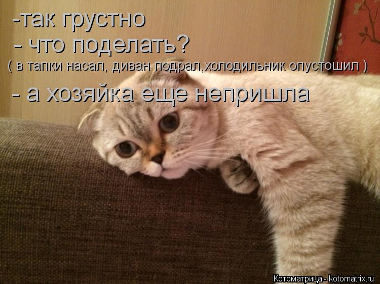 -так грустно - что поделать? ( в тапки насал, диван подрал,холодильник опустошил ) - а хозяйка еще ... Котоматрица: -так грустно - что поделать? ( в тапки насал, диван подрал,холодильник опустошил ) - а хозяйка еще непришла