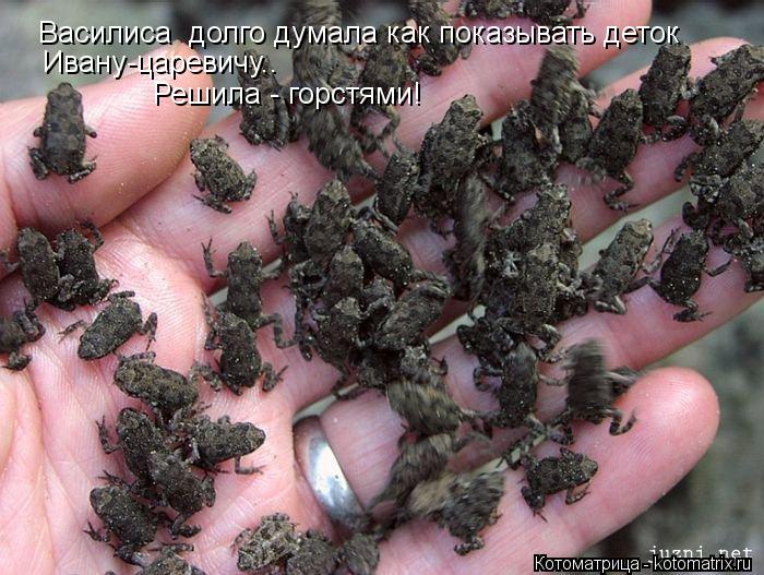 Василиса долго думала как показывать деток Ивану-царевичу.. Решила - горстями!... Котоматрица: Василиса долго думала как показывать деток Ивану-царевичу.. Решила - горстями!