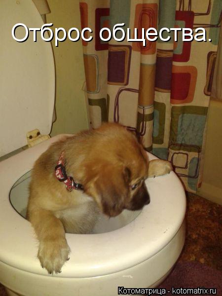 Отброс общества.... Котоматрица: Отброс общества.