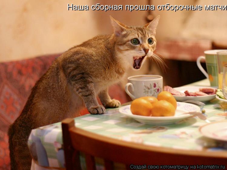 Наша сборная прошла отборочные матчи.... Котоматрица: Наша сборная прошла отборочные матчи.