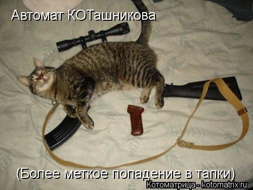 Автомат КОТашникова (Более меткое попадение в тапки)... Котоматрица: Автомат КОТашникова (Более меткое попадение в тапки)