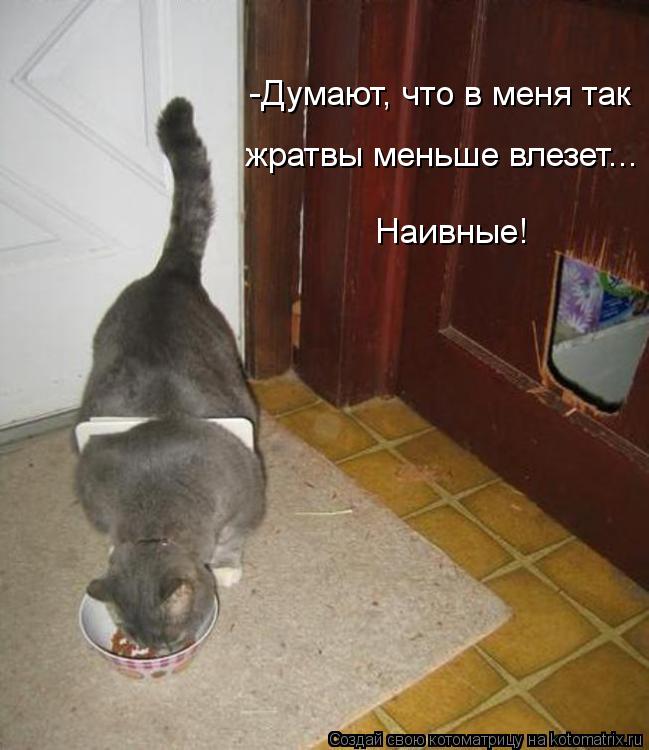 -Думают, что в меня так жратвы меньше влезет... Наивные!... Котоматрица: -Думают, что в меня так жратвы меньше влезет... Наивные!