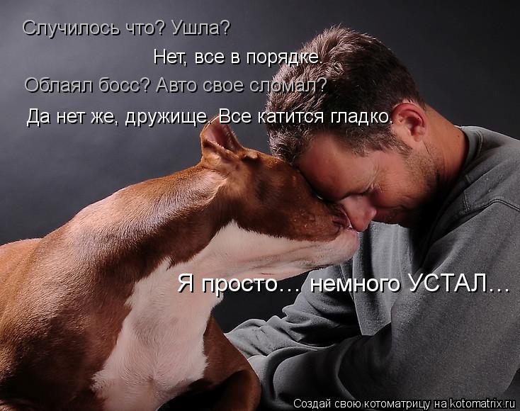 http://kotomatrix.ru/images/lolz/2013/10/23/kotomatritsa_SC.jpg