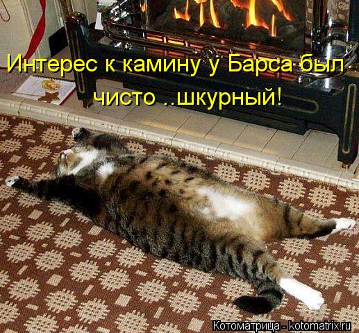 Интерес к камину у Барса был чисто ..шкурный!... Котоматрица: Интерес к камину у Барса был чисто ..шкурный!