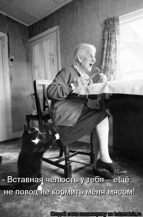 не повод не кормить меня мясом! - Вставная челюсть у тебя – ещё... Котоматрица: не повод не кормить меня мясом! - Вставная челюсть у тебя – ещё
