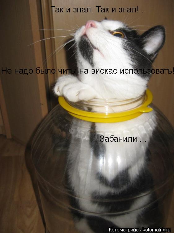 Так и знал, Так и знал!... Не надо было читы на вискас использовать! Забанили....... Котоматрица: Так и знал, Так и знал!... Не надо было читы на вискас использовать! Забанили....