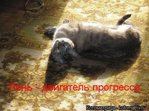 Лень - двигатель прогресса.... Котоматрица: Лень - двигатель прогресса.