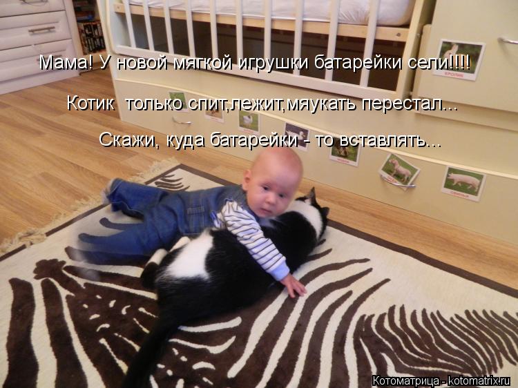Мама! У новой мягкой игрушки батарейки сели!!!! Котик только спит,лежит,мяукать перестал... Скажи, к... Котоматрица: Мама! У новой мягкой игрушки батарейки сели!!!! Котик только спит,лежит,мяукать перестал... Скажи, куда батарейки - то вставлять...