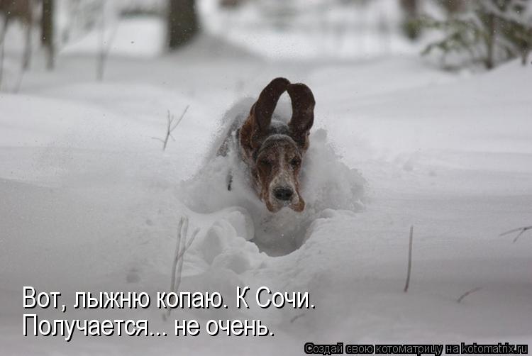 Получается... не очень. Вот, лыжню копаю. К Сочи.... Котоматрица: Получается... не очень. Вот, лыжню копаю. К Сочи.