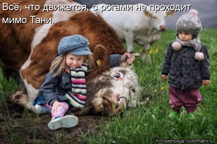 Всё, что движется, с рогами не проходит мимо Тани.... Котоматрица: Всё, что движется, с рогами не проходит мимо Тани.