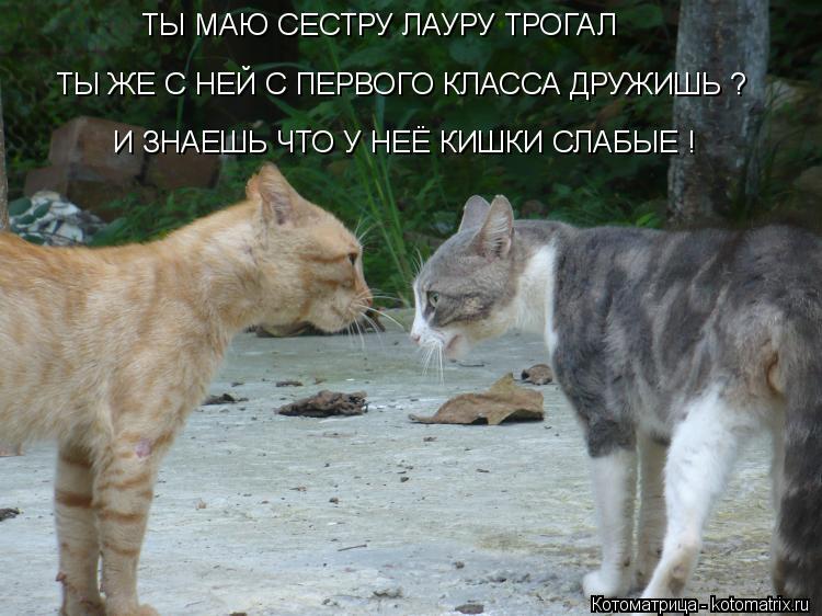 ТЫ МАЮ СЕСТРУ ЛАУРУ ТРОГАЛ ТЫ ЖЕ С НЕЙ С ПЕРВОГО КЛАССА ДРУЖИШЬ ? И ЗНАЕШЬ ЧТО У НЕЁ КИШКИ СЛАБЫЕ !... Котоматрица: ТЫ МАЮ СЕСТРУ ЛАУРУ ТРОГАЛ ТЫ ЖЕ С НЕЙ С ПЕРВОГО КЛАССА ДРУЖИШЬ ? И ЗНАЕШЬ ЧТО У НЕЁ КИШКИ СЛАБЫЕ !
