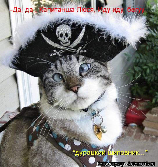 -Да. да , Капитанша Люся, Иду иду, бегуу. *дурацкий шиповник...*... Котоматрица: -Да. да , Капитанша Люся, Иду иду, бегуу. *дурацкий шиповник...*