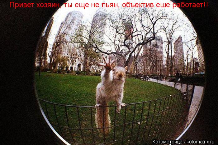 Привет хозяин, ты еще не пьян, объектив еше работает!! Привет хозяин, ты еще не пьян, объектив еше ра... Котоматрица: Привет хозяин, ты еще не пьян, объектив еше работает!! Привет хозяин, ты еще не пьян, объектив еше работает!!
