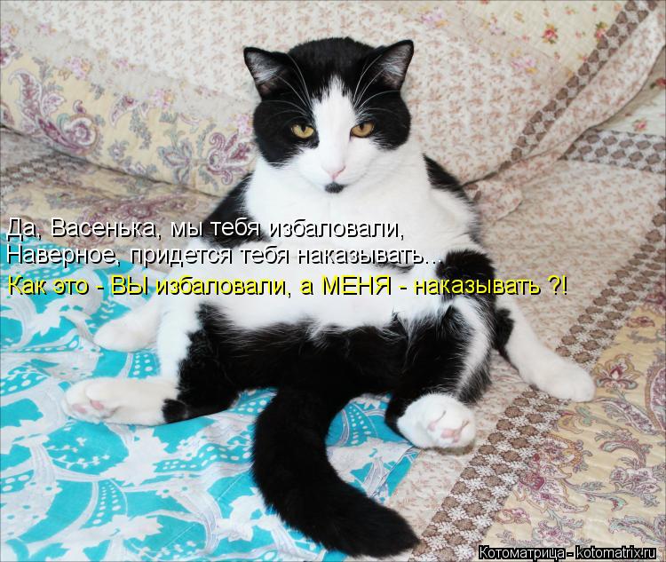 Да, Васенька, мы тебя избаловали, Наверное, придется тебя наказывать... Как это - ВЫ избаловали, а МЕ... Котоматрица: Да, Васенька, мы тебя избаловали, Наверное, придется тебя наказывать... Как это - ВЫ избаловали, а МЕНЯ - наказывать ?!