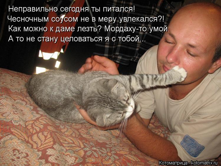 Неправильно сегодня ты питался! Чесночным соусом не в меру увлекался?! Как можно к даме лезть? Мордах... Котоматрица: Неправильно сегодня ты питался! Чесночным соусом не в меру увлекался?! Как можно к даме лезть? Мордаху-то умой А то не стану целоваться я с т