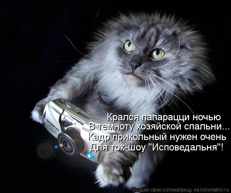 Крался папарацци ночью В темноту хозяйской спальни... Кадр прикольный нужен очень Для ток-шоу "Испове... Котоматрица: Крался папарацци ночью В темноту хозяйской спальни... Кадр прикольный нужен очень Для ток-шоу "Исповедальня"!