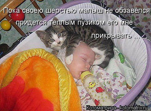 Пока своею шерстью малыш не обзавелся придется теплым пузиком его мне прикрывать ...... Котоматрица: Пока своею шерстью малыш не обзавелся придется теплым пузиком его мне прикрывать ...