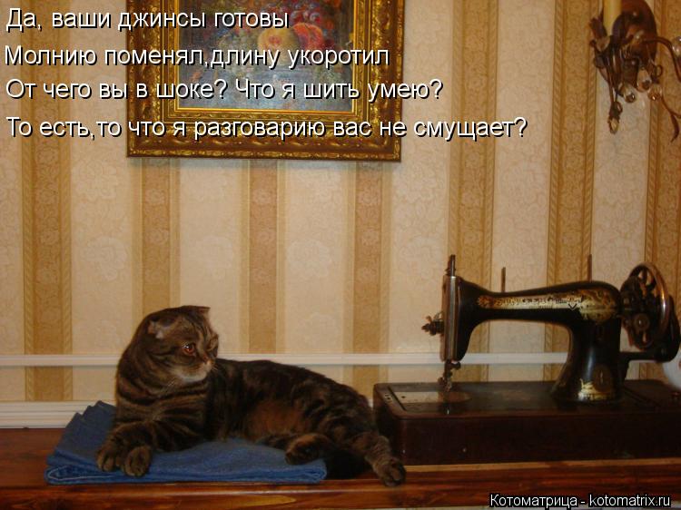 Да, ваши джинсы готовы Молнию поменял,длину укоротил От чего вы в шоке? Что я шить умею? То есть,то ч... Котоматрица: Да, ваши джинсы готовы Молнию поменял,длину укоротил От чего вы в шоке? Что я шить умею? То есть,то что я разговарию вас не смущает?