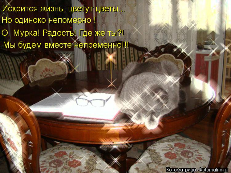 Искрится жизнь, цветут цветы... Но одиноко непомерно ! О, Мурка! Радость! Где же ты?! Мы будем вместе... Котоматрица: Искрится жизнь, цветут цветы... Но одиноко непомерно ! О, Мурка! Радость! Где же ты?! Мы будем вместе непременно!!!