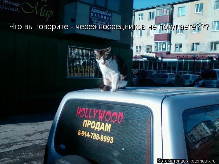 Что вы говорите - через посредников не покупаете???... Котоматрица: Что вы говорите - через посредников не покупаете???