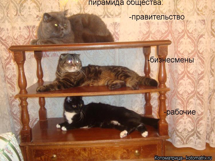 пирамида общества: -правительство -бизнесмены -рабочие... Котоматрица: пирамида общества: -правительство -бизнесмены -рабочие
