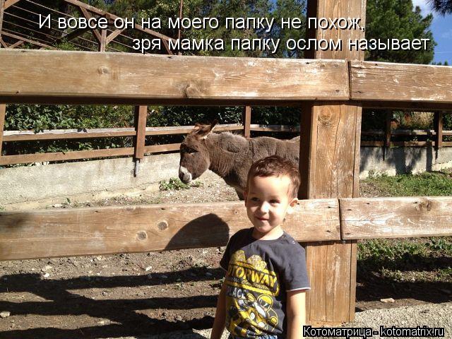 И вовсе он на моего папку не похож, зря мамка папку ослом называет... Котоматрица: И вовсе он на моего папку не похож, зря мамка папку ослом называет