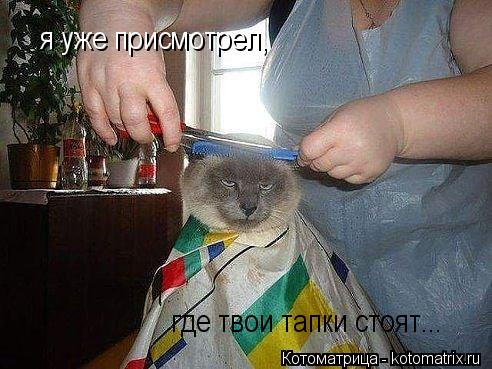 я уже присмотрел, где твои тапки стоят...... Котоматрица: я уже присмотрел, где твои тапки стоят...