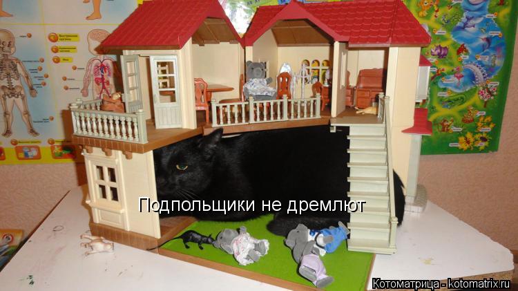 Подпольщики не дремлют... Котоматрица: Подпольщики не дремлют