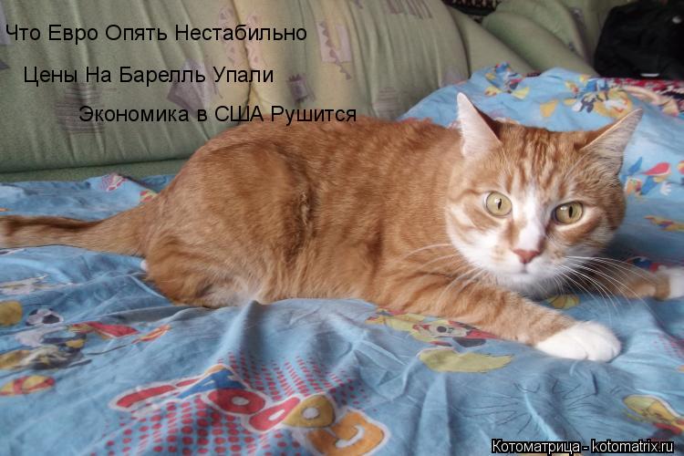 Цены На Барелль Упали Что Евро Опять Нестабильно Экономика в США Рушится... Котоматрица: Цены На Барелль Упали Что Евро Опять Нестабильно Экономика в США Рушится