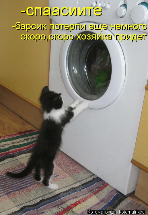 -спаасиите -барсик потерпи еще немного скоро,скоро хозяйка придет... Котоматрица: -спаасиите -барсик потерпи еще немного скоро,скоро хозяйка придет
