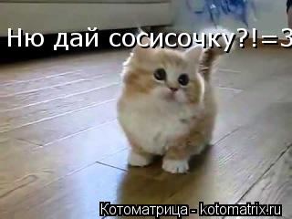 Ню дай сосисочку?!=3... Котоматрица: Ню дай сосисочку?!=3