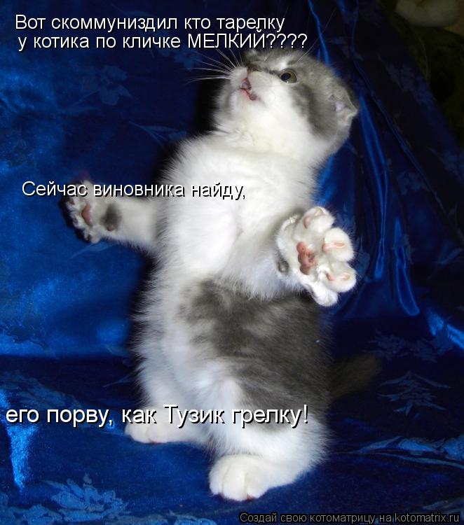 Вот скоммуниздил кто тарелку у котика по кличке МЕЛКИЙ???? Сейчас виновника найду, его порву, как Ту... Котоматрица: Вот скоммуниздил кто тарелку у котика по кличке МЕЛКИЙ???? Сейчас виновника найду, его порву, как Тузик грелку!