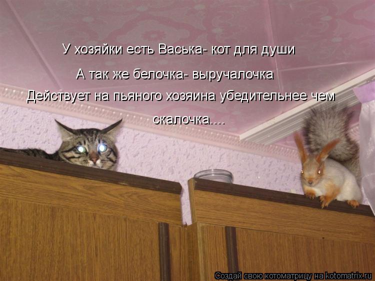 А так же белочка- выручалочка У хозяйки есть Васька- кот для души Действует на пьяного хозяина убедит... Котоматрица: А так же белочка- выручалочка У хозяйки есть Васька- кот для души Действует на пьяного хозяина убедительнее чем скалочка....