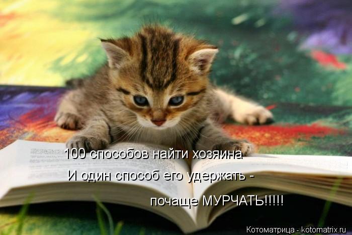 100 способов найти хозяина И один способ его удержать - почаще МУРЧАТЬ!!!!!... Котоматрица: 100 способов найти хозяина И один способ его удержать - почаще МУРЧАТЬ!!!!!