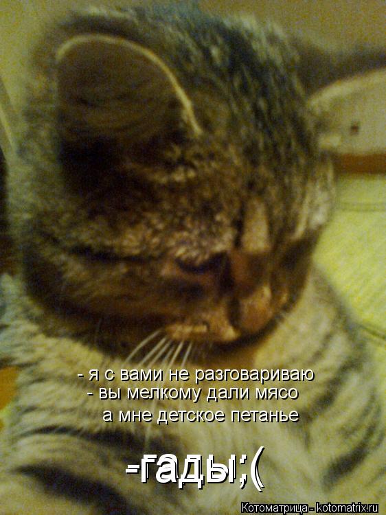 - я с вами не разговариваю - вы мелкому дали мясо а мне детское петанье -гады;( -гады;(... Котоматрица: - я с вами не разговариваю - вы мелкому дали мясо а мне детское петанье -гады;( -гады;(