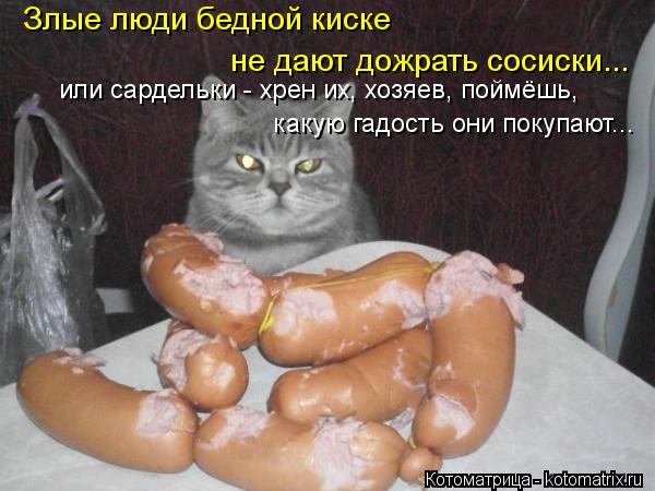 Злые люди бедной киске не дают дожрать сосиски... или сардельки - хрен их, хозяев, поймёшь, какую га... Котоматрица: Злые люди бедной киске не дают дожрать сосиски... или сардельки - хрен их, хозяев, поймёшь, какую гадость они покупают...