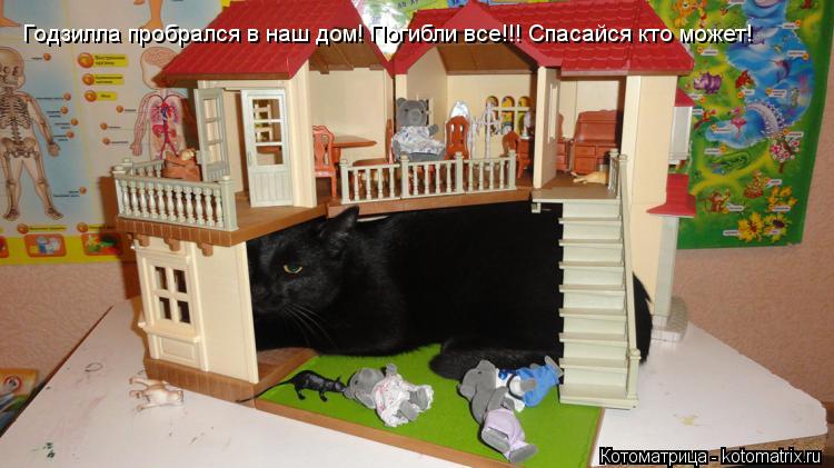 Годзилла пробрался в наш дом! Погибли все!!! Спасайся кто может!... Котоматрица: Годзилла пробрался в наш дом! Погибли все!!! Спасайся кто может!