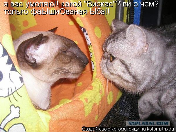 я вас умоляю!! какой "Вискас"? ви о чем? только фаЫшиОваная Ыба!!... Котоматрица: я вас умоляю!! какой "Вискас"? ви о чем? только фаЫшиОваная Ыба!!