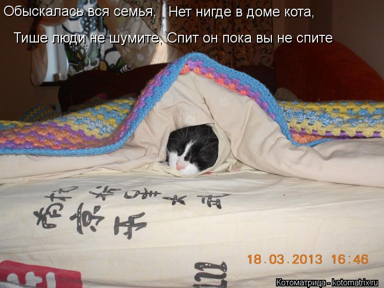 Обыскалась вся семья, Нет нигде в доме кота, Тише люди не шумите, Спит он пока вы не спите... Котоматрица: Обыскалась вся семья, Нет нигде в доме кота, Тише люди не шумите, Спит он пока вы не спите